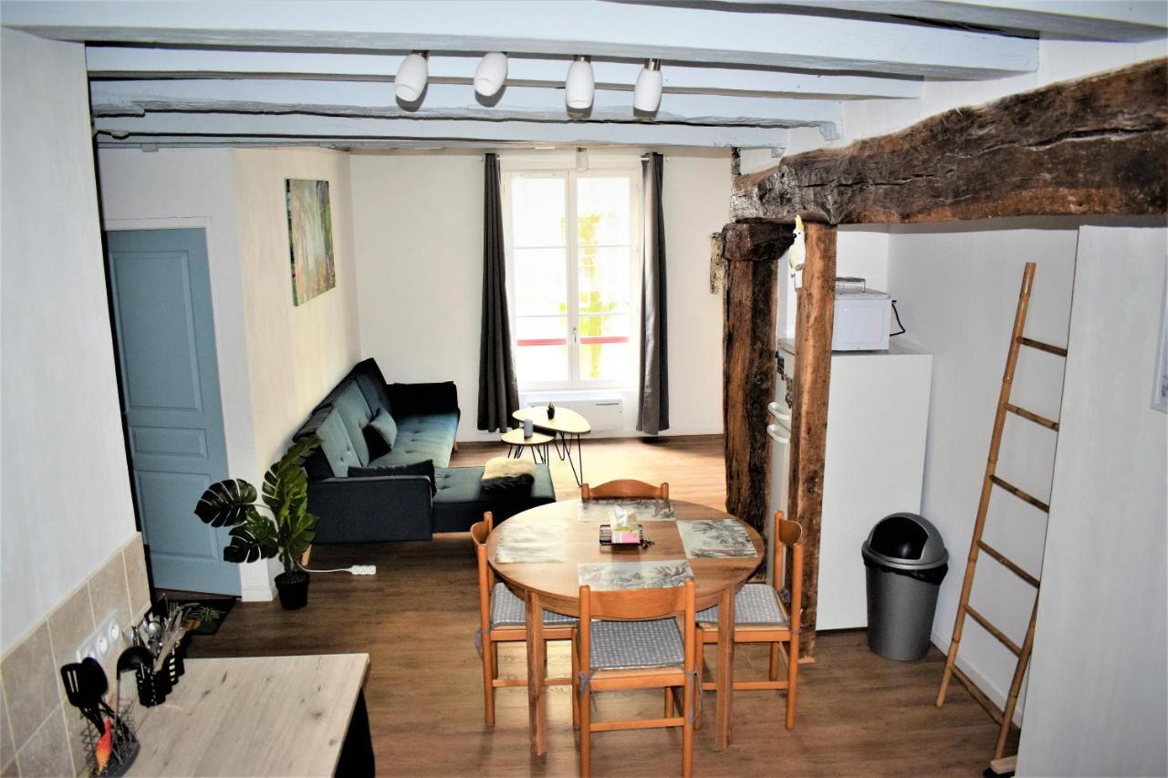 Gite Le Nid Des Zoo Zio, 5Mn Beauval, Appartement Terrasse Centre-Ville Saint-Aignan  Εξωτερικό φωτογραφία