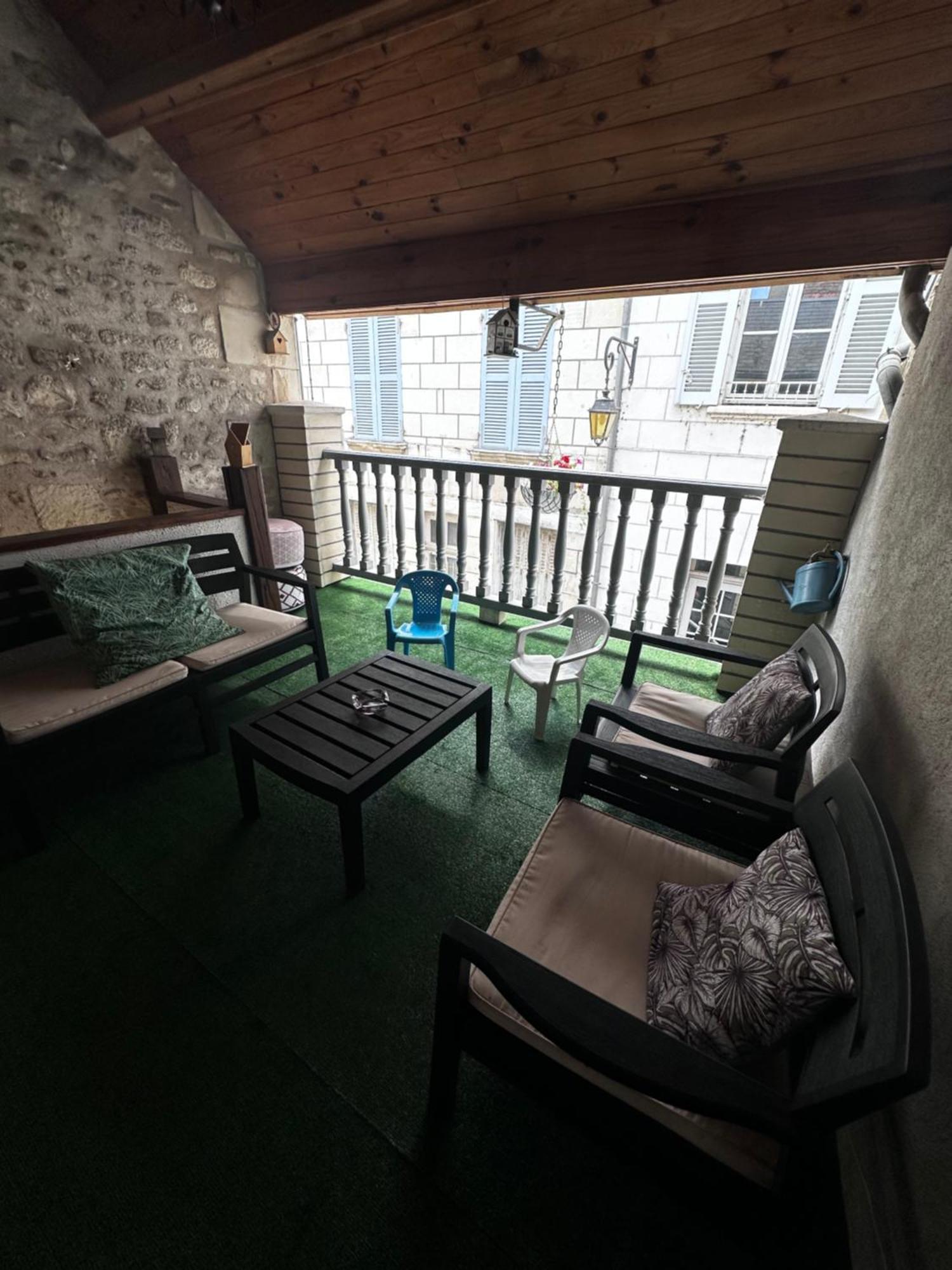 Gite Le Nid Des Zoo Zio, 5Mn Beauval, Appartement Terrasse Centre-Ville Saint-Aignan  Εξωτερικό φωτογραφία